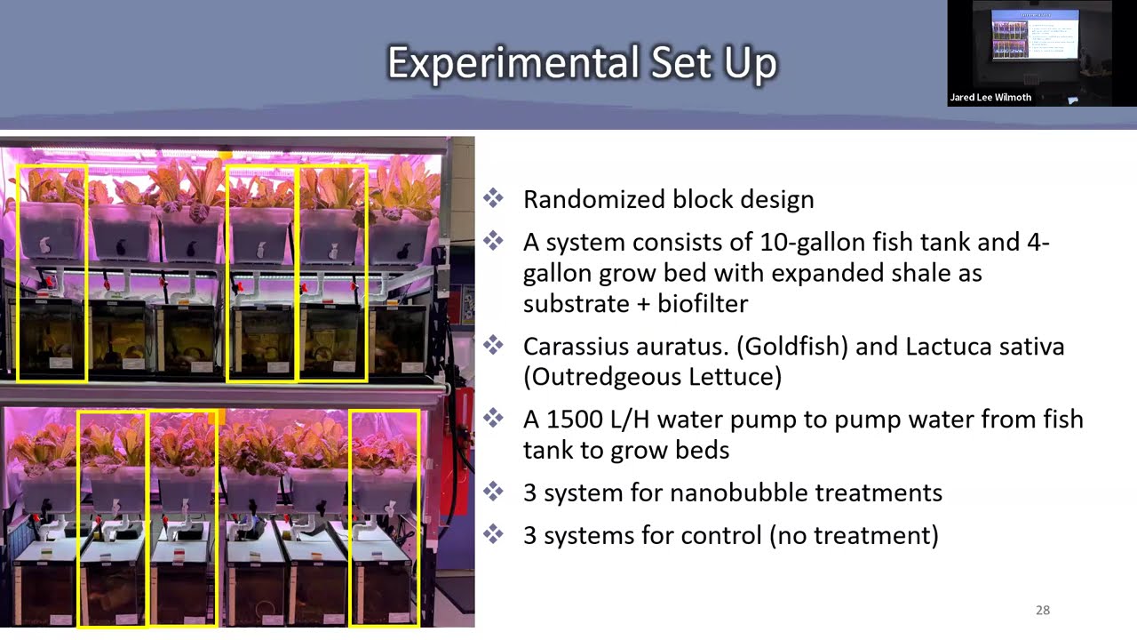 04-16-2025 Hibba Hussain: Impacts of Nanobubble treatments on Aquaponic Systems