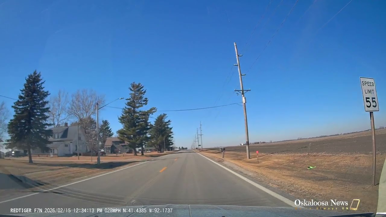 Webster Drive - February 2026