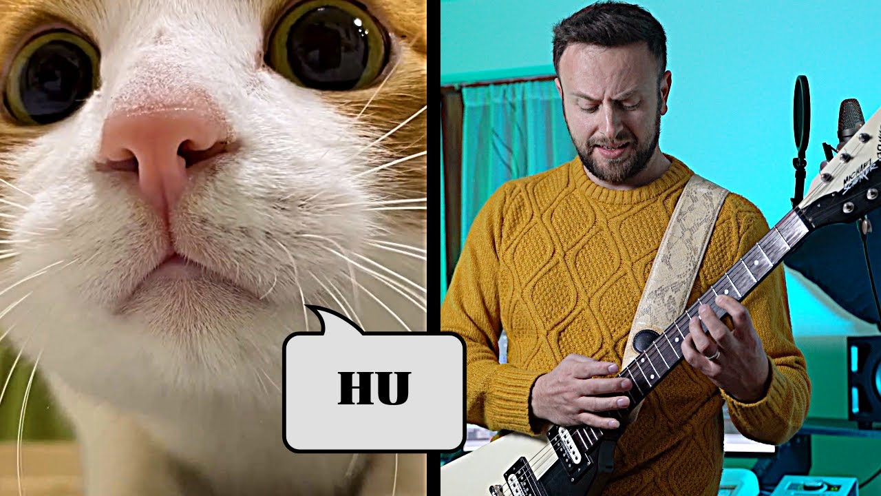 Spaul x Hassaku - Hu Huu  (SINGING CAT SONGS)