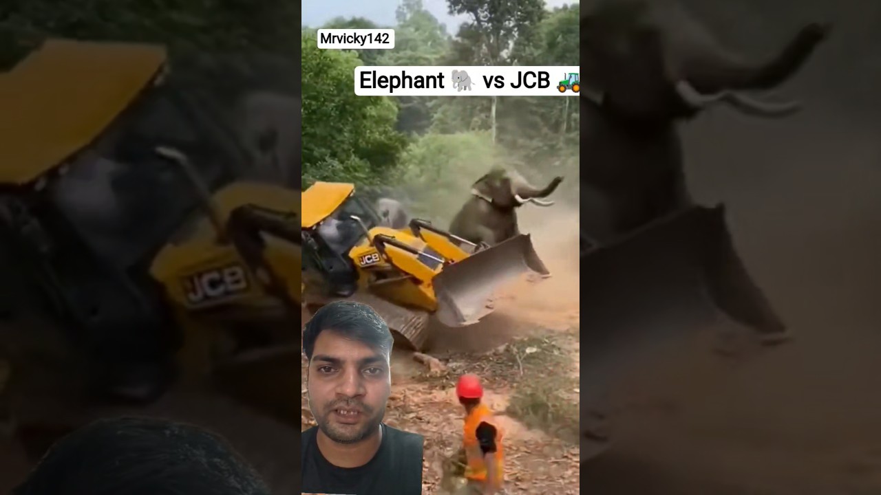 elephant 🐘 vs JCB machine 🚜 😱 