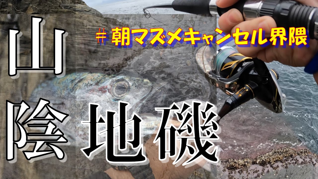 【ショアジギング】【ショアプラッキング】【山陰ロックショア】ホームの地磯にヤツが現れる？！