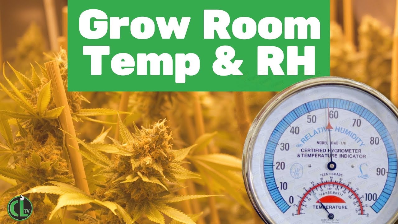 Ideal Grow Room Humidity (RH) and Temperature