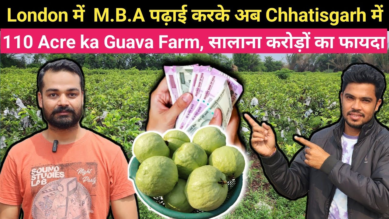 London में M.B.A पढ़ाई करके Chhatisgarh में 110 Acre का Guava Farm, सालाना करोड़ो💰का फायदा |
