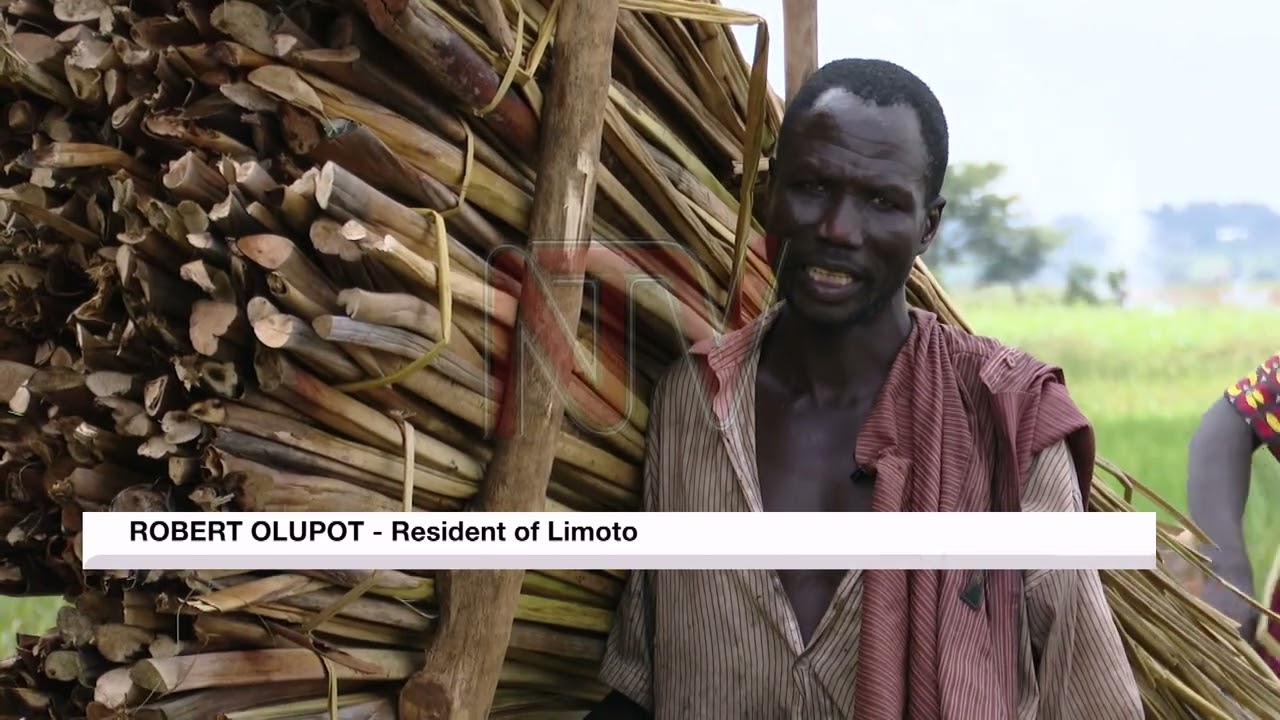 Government commits to restoring Uganda's wetlands after Limoto success