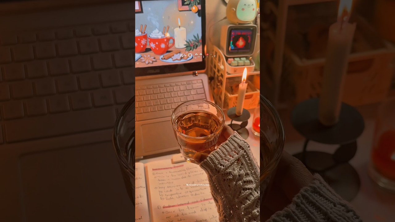 Quiet Night Study With Me | D-5/30 