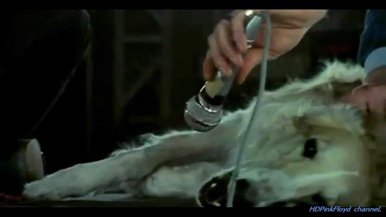 Pink Floyd - Mademoiselle Nobs - Live Pompei