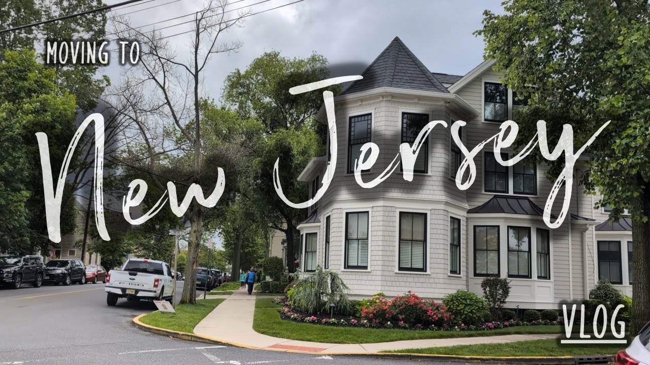 MOVING update: finding a home in a competitive housing market PLUS I refused a job offer, what now?!