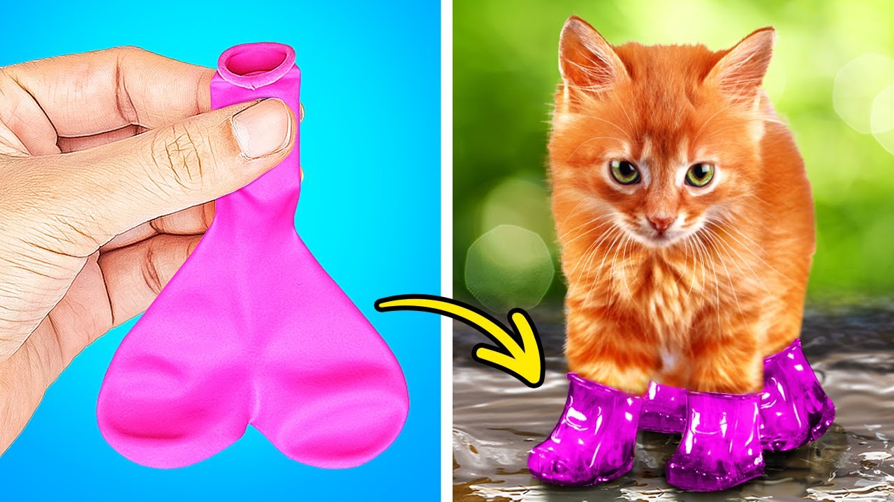 CUTE TIKTOK PET HACKS | CLEVER GADGETS AND FUNNY CRAFTS