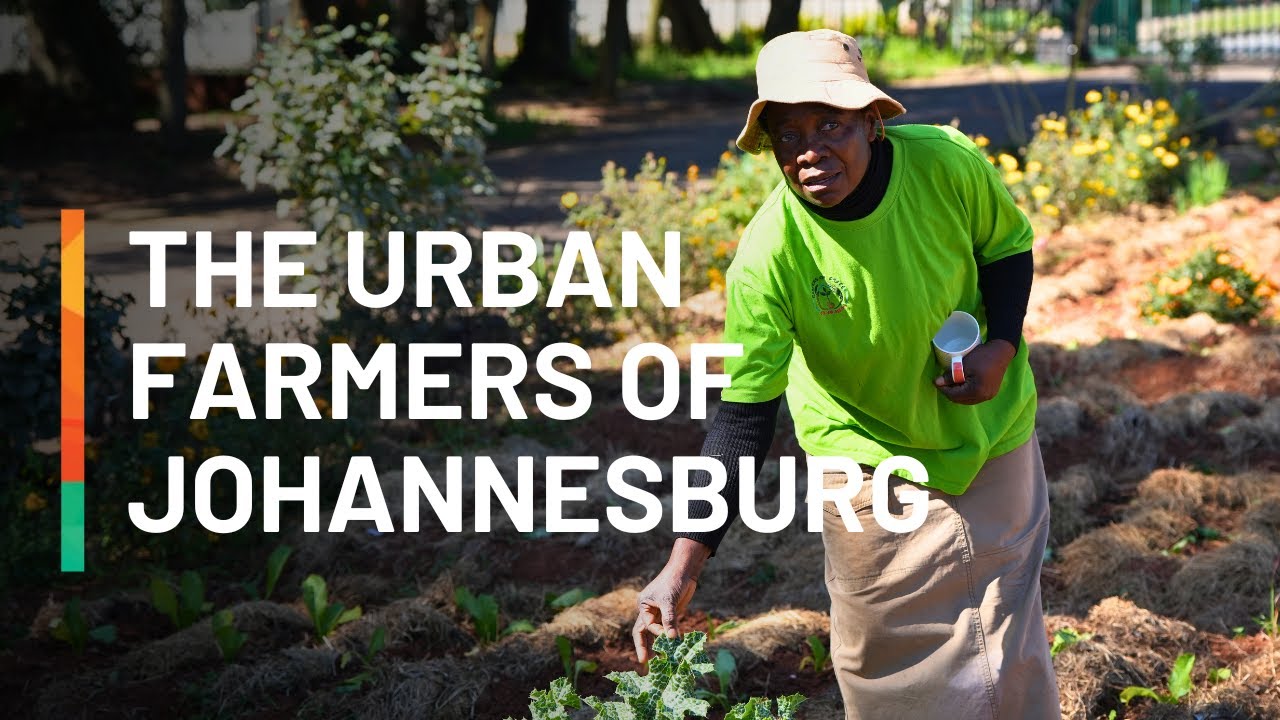 The Urban Farmers of  Johannesburg