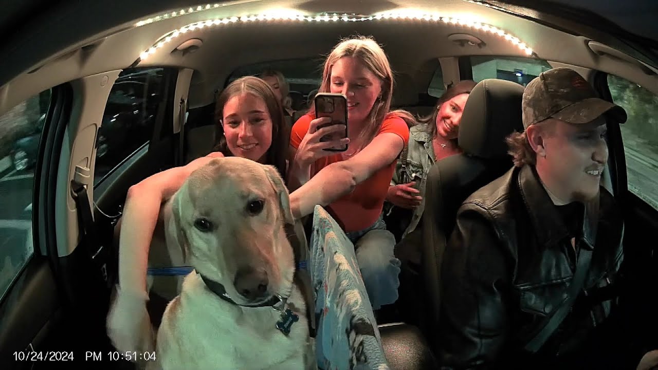 Bowie the 'Uber Dog' Makes Passengers Smile During Ride
