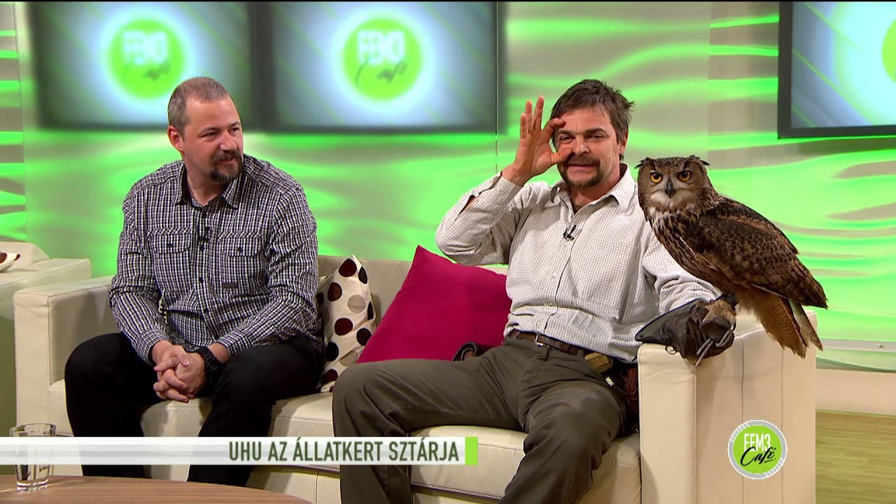 Az uhu, aki nem is olyan bölcs  - 2015.01.13. tv2.hu/fem3cafe