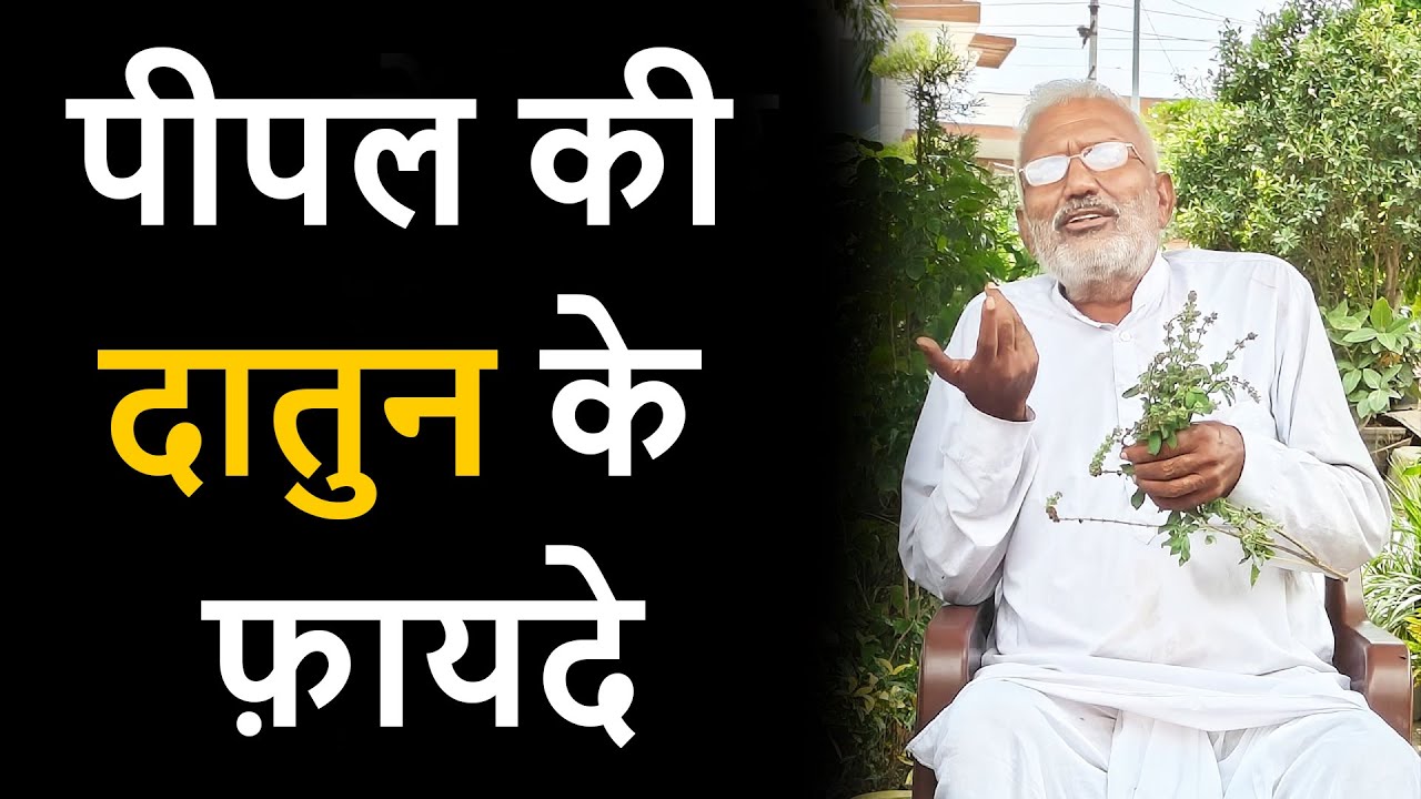 पीपल की दातुन के फ़ायदे | वैद्य ओम प्रकाश ज्ञान तारा