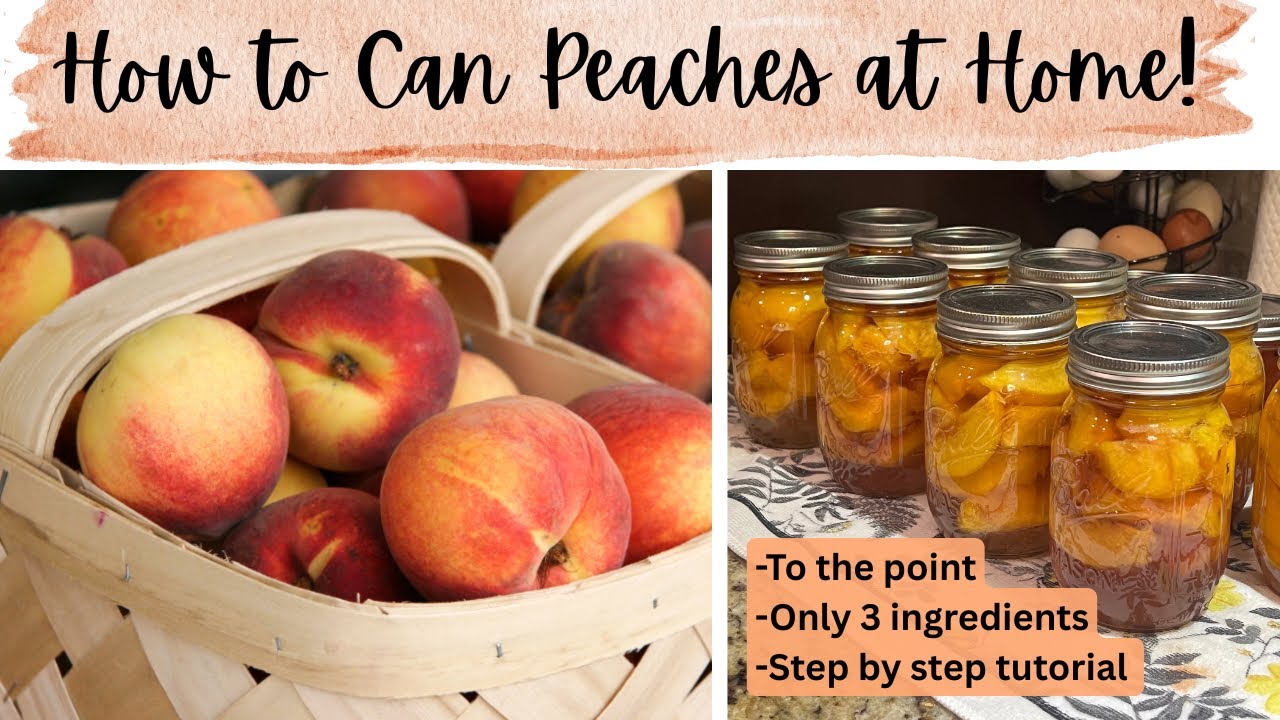 How to Can Fresh Peaches | ONLY 3 INGREDIENTS | Stepbystep tutorial!