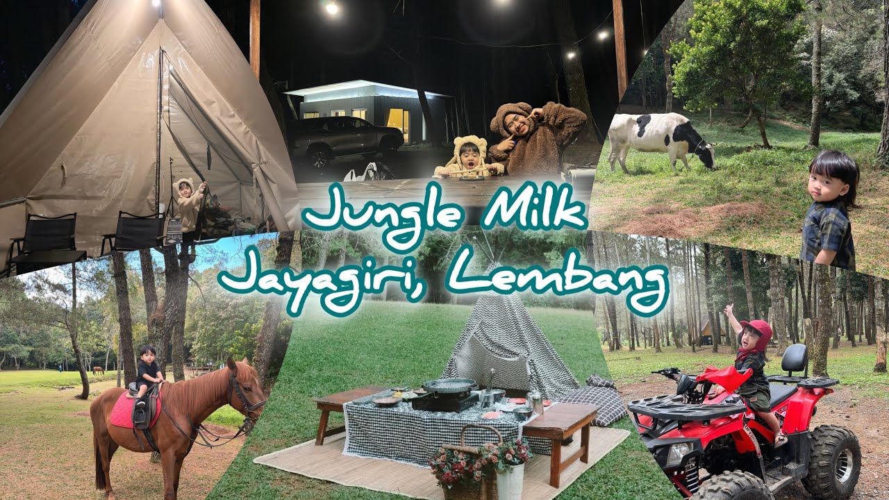 Review Lengkap Camping di Jungle Milk Jayagiri Lembang | Tempat healing terbaik