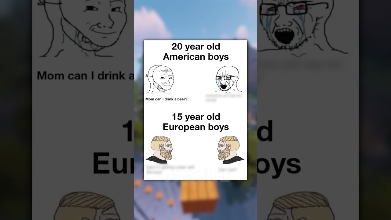 EU VS USA MEMES