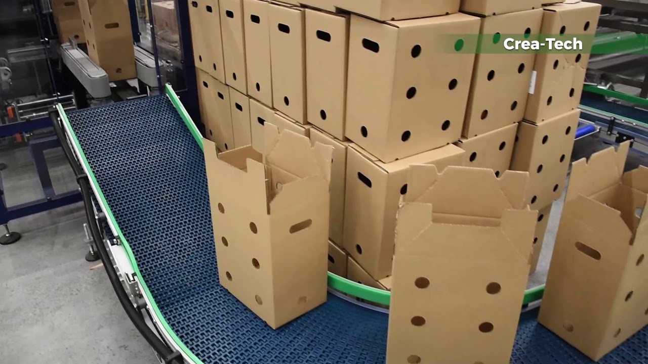 Giant Crea-Tech packing line for Rocket Farms