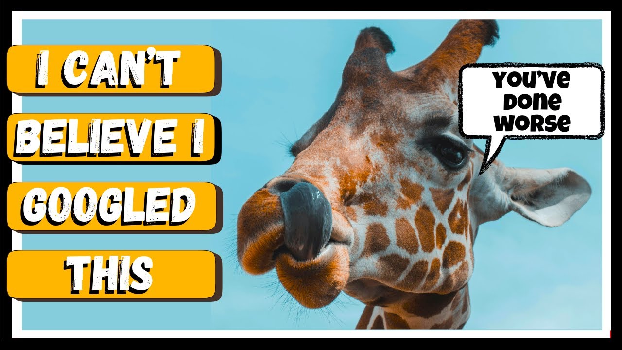 I Googled This Giraffe Fact… Then It Got Weirder (19 More Included)