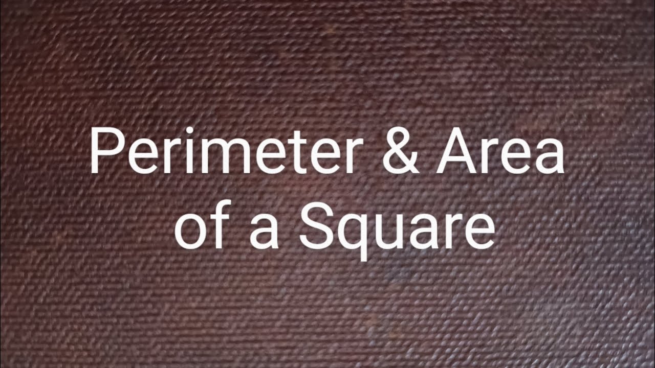 Grade-5 Math Perimeter and Area of a Square Mathematics Class-5