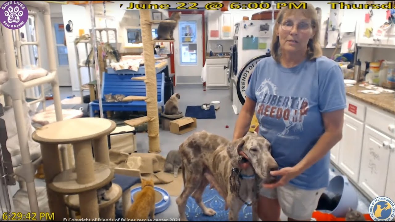 FFRC moment - Molly's Friday night visit - 2021.06.04