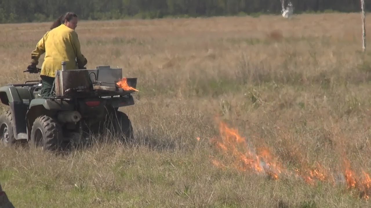 Airport Controlled Burn