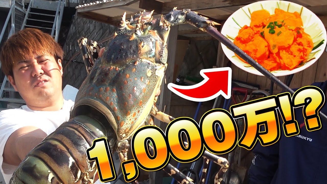 怪物級の超高級１０００万円のエビで作る巨大エビチリ