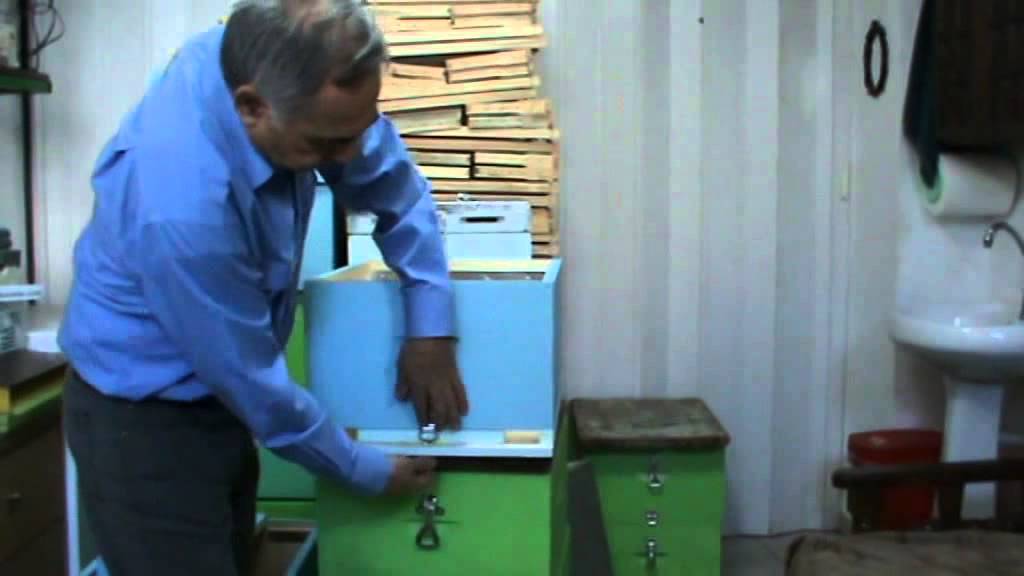 Ο Διαιρούμενος πάτος