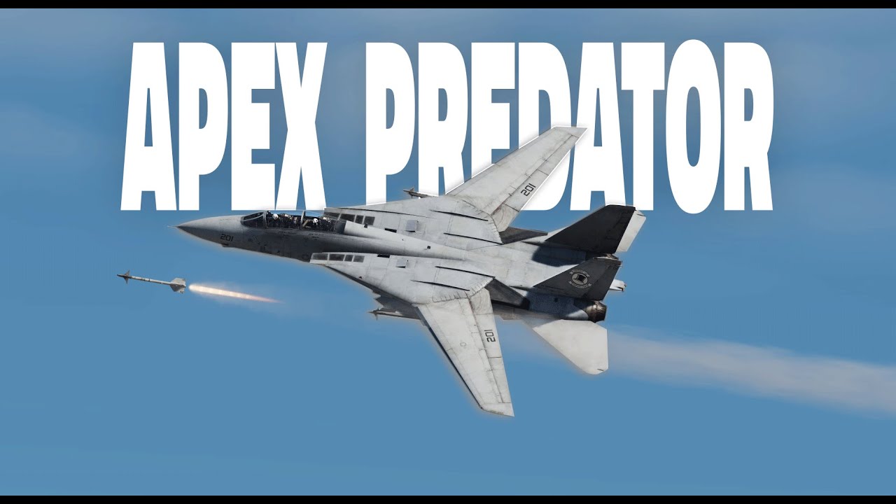 DCS F14 ENIGMAS COLD WAR PVP WITH A RIO