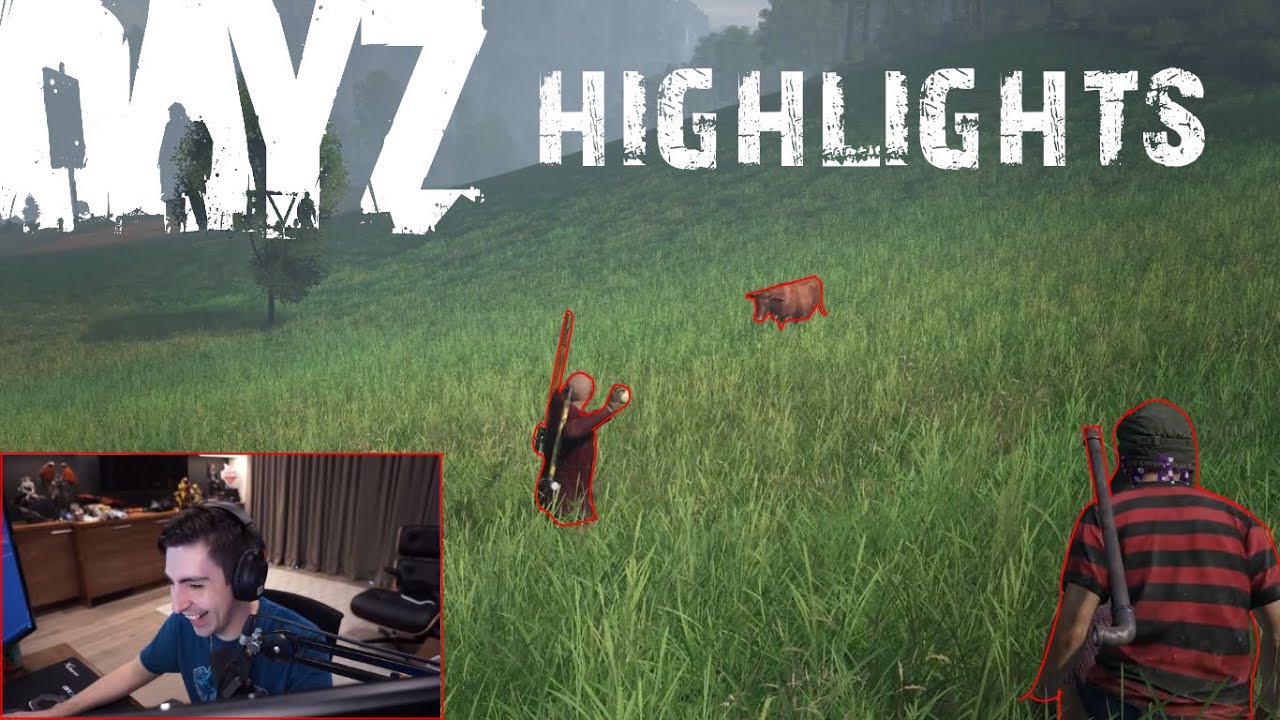 BEST DAYZ TWITCH HIGHLIGHTS! EPIC & FUNNY MOMENTS #11