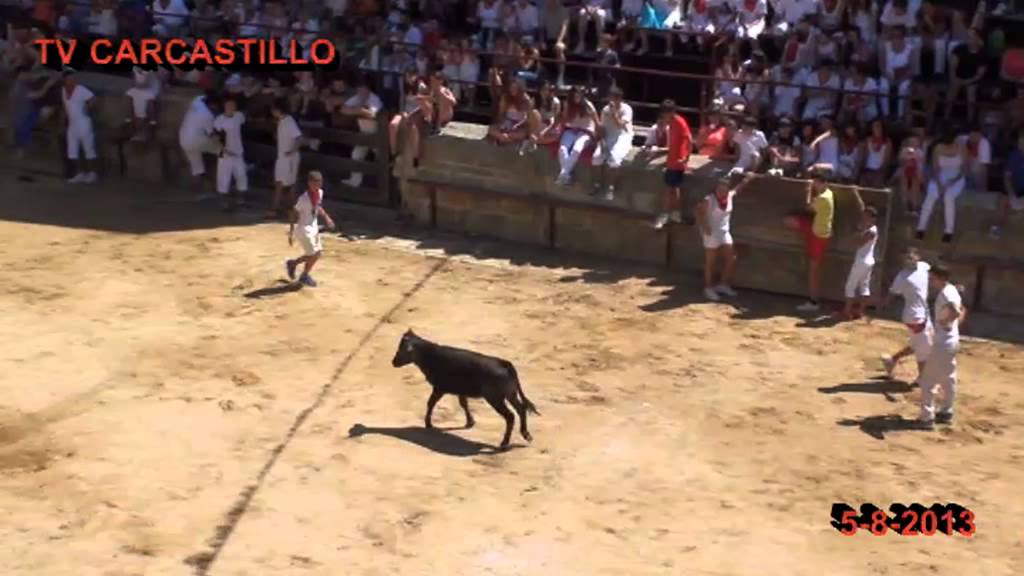 Carcastillo fiestas 5-8-2013 Vaquillas para los niños en la plaza
