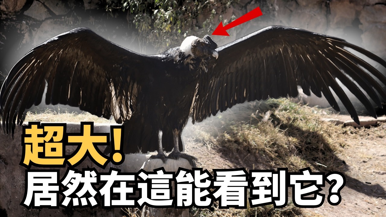 庫斯科周圍還能這麼玩？別只知道馬丘比丘，我在安第斯遇見了最震撼的三張面孔！