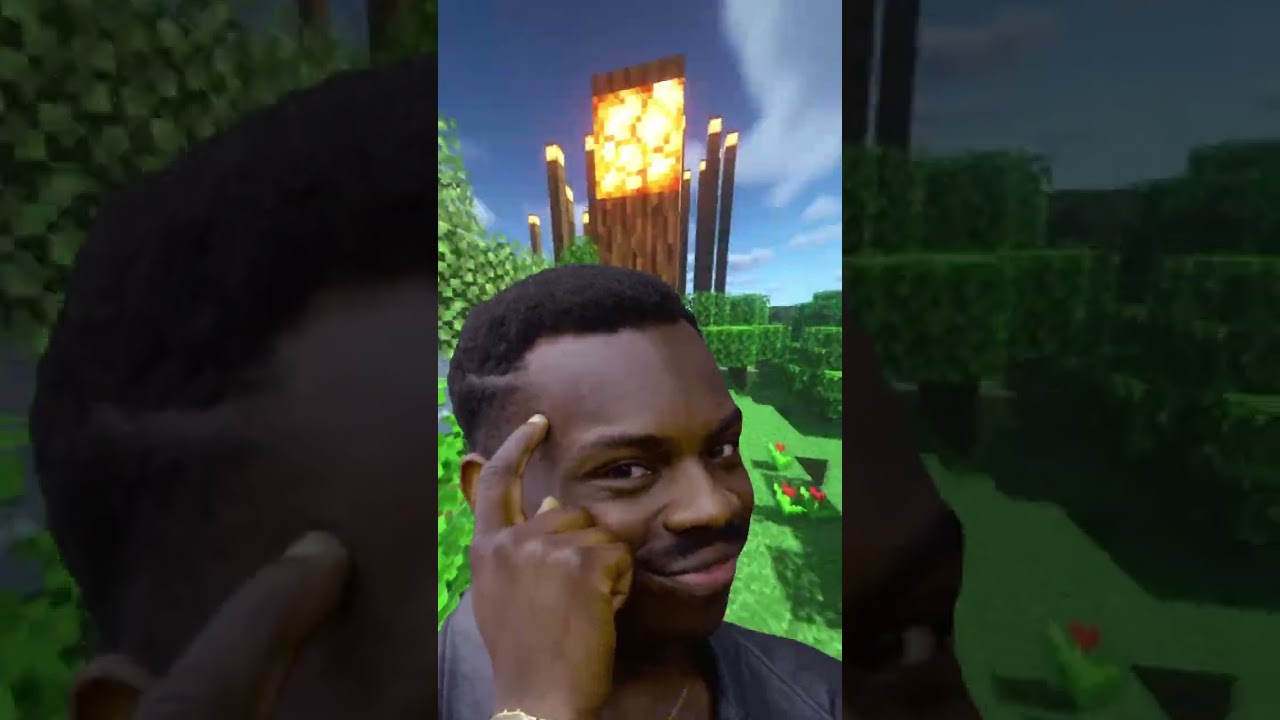 Paluten fand das letzte anscheinend nicht so gut... Minecraft W&uuml;rdest du eher? Tordi #shorts #sabos