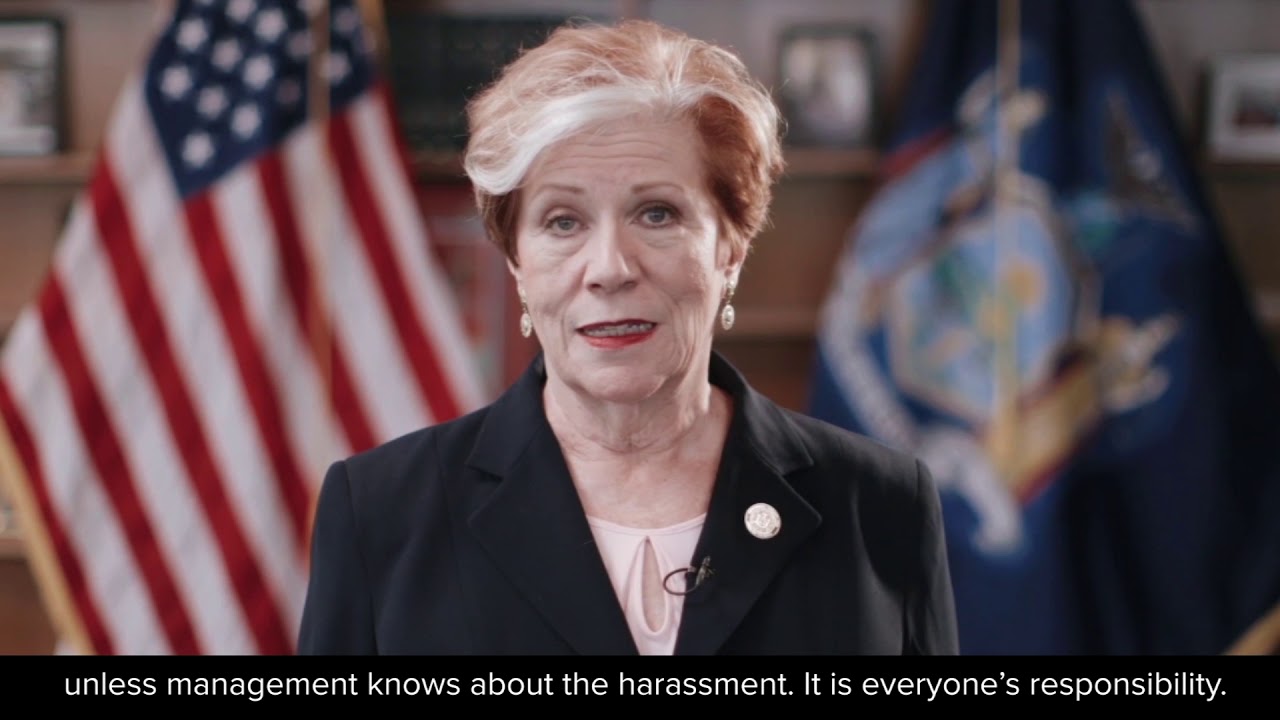 Sexual Harassment Prevention Training Part 1: English Subtitles