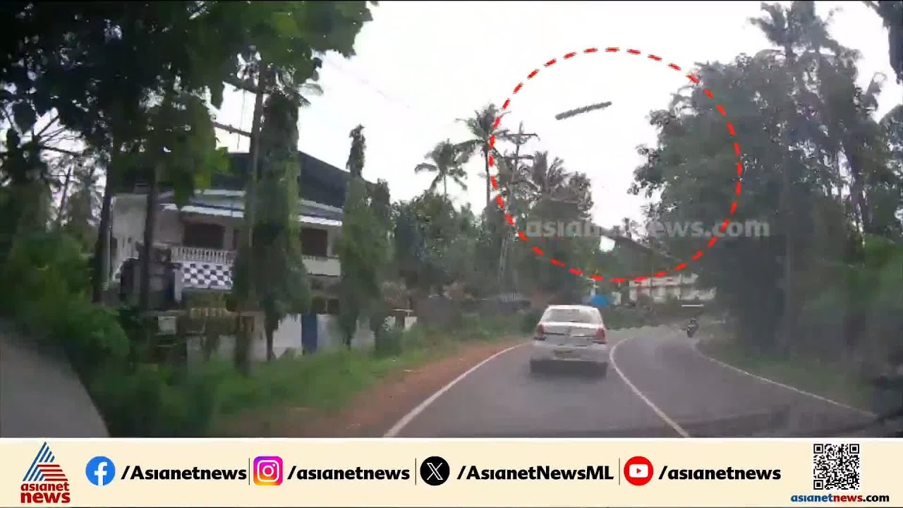 ഓടിക്കൊണ്ടിരുന്ന കാറിന് മുകളിലേക്ക് തെങ്ങ് വീണു; യാത്രക്കാർക്ക് പരിക്ക് | Accident news | Kannur