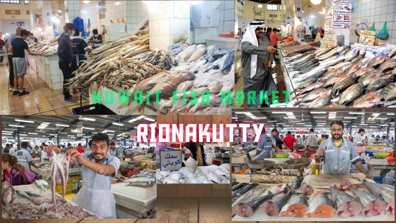 Fish | Market | Al Kout Mall | Fahaheel/ kuwait | vlog