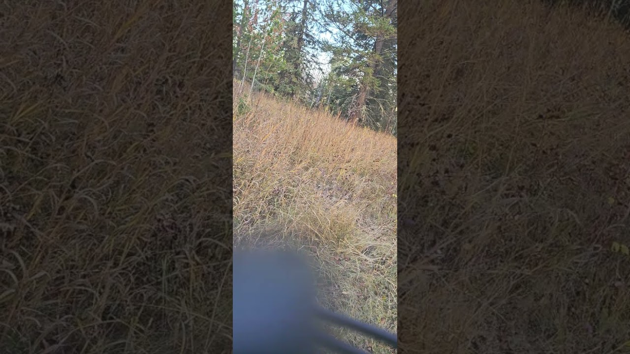 EBike Ride Cariboo BC 
