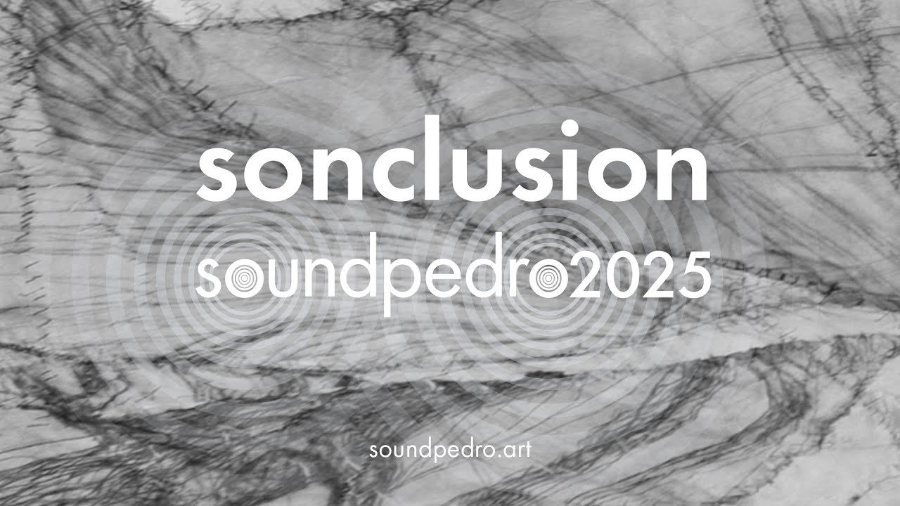 sonclusion 2025