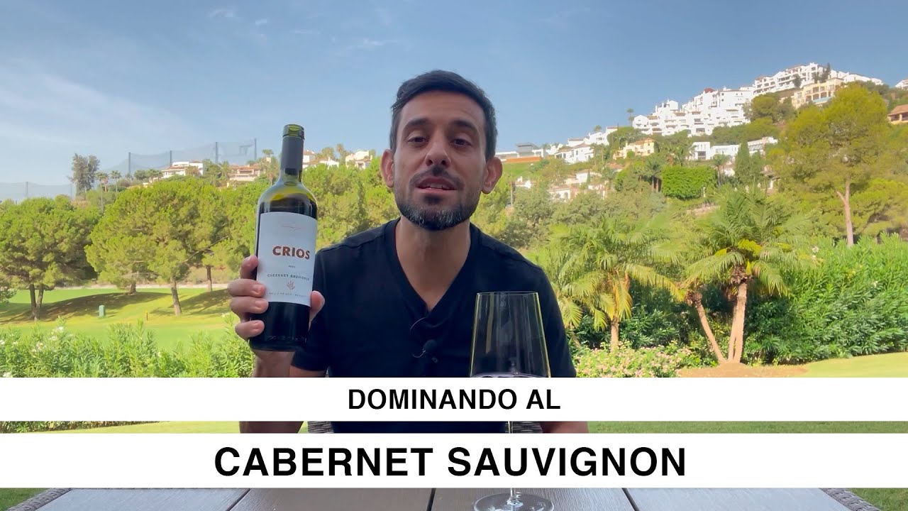 Dominando al CABERNET SAUVIGNON (el video definitivo para entender al vino rey)