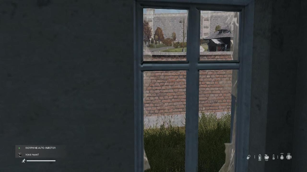 DayZ_20260303210852