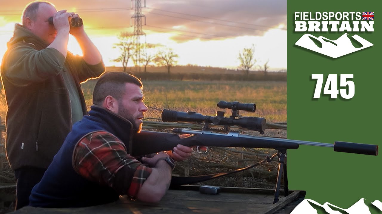 Fieldsports Britain – ambushing deer in the dark