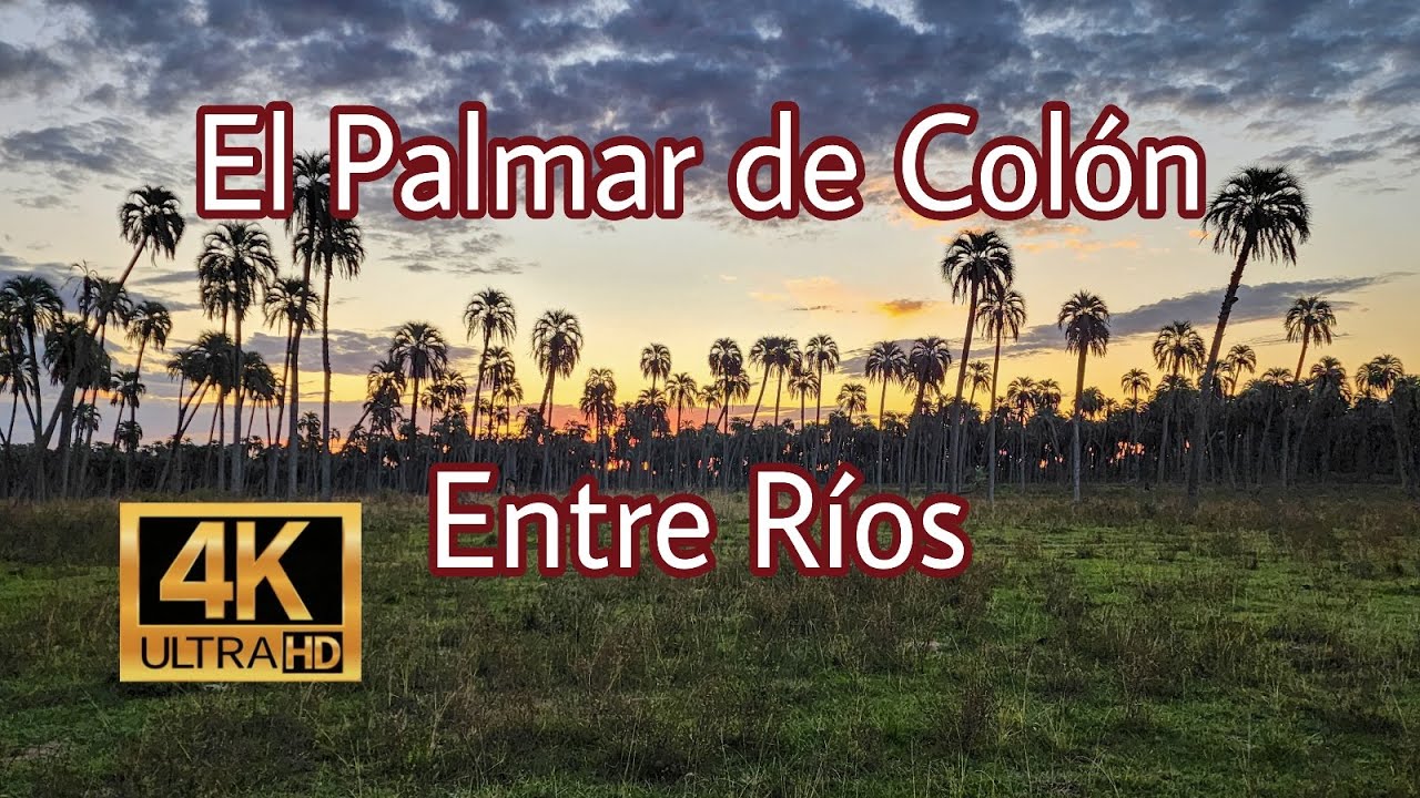 El Palmar de Colón 4K | Reserva Natural desde el Drone