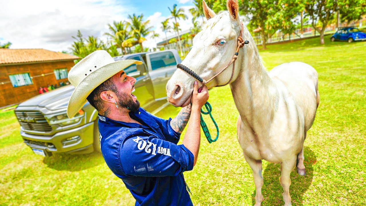 MEU CAVALO ESTÁ BEM MELHOR 🙏🏼😭
