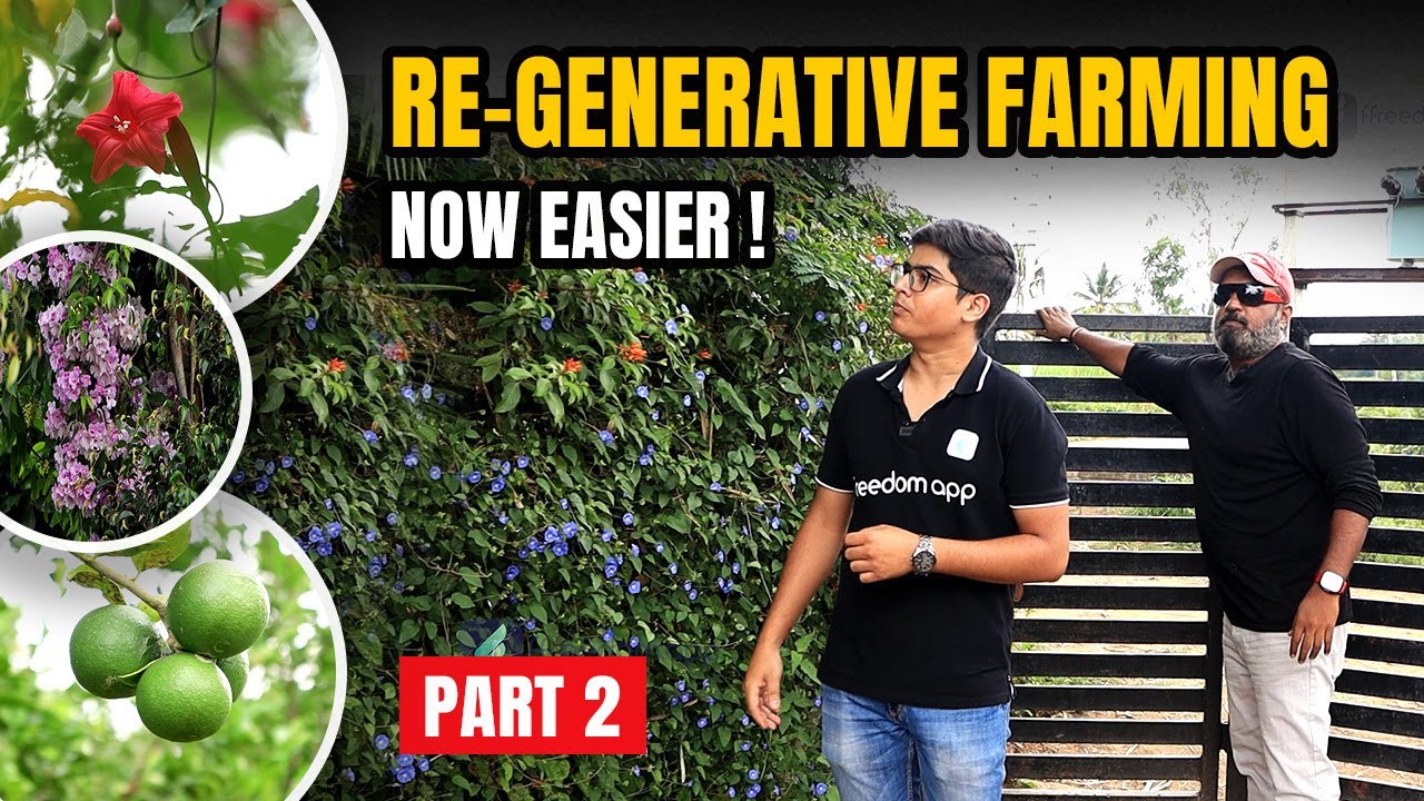 Farm Land Exploration | 650+ Varieties in One Acre of Land | Part -2