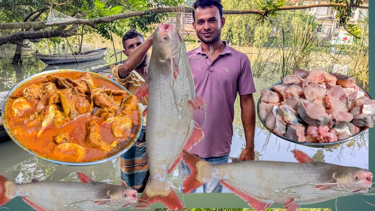 নদীর বড় পাঙ্গাস মাছ স্বাদের রাজাRiver's Big Pangas Fish — King of Taste
