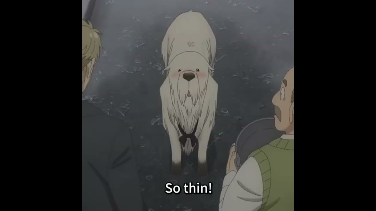 Bond is so thin and loid laughs 😂 Anime: Spy x family