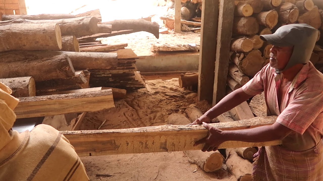 Teak Wood Cutting | Saw Mill | Wood Cutting in Indian Saw Mill | Teak Wood | To Know Everything