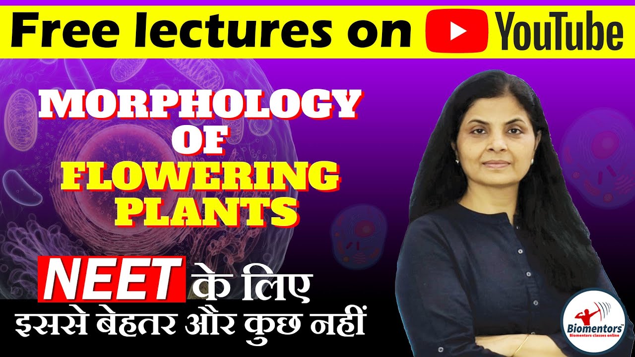 Morphology of Flowering Plants l Biology Free lectures l Biomentors online
