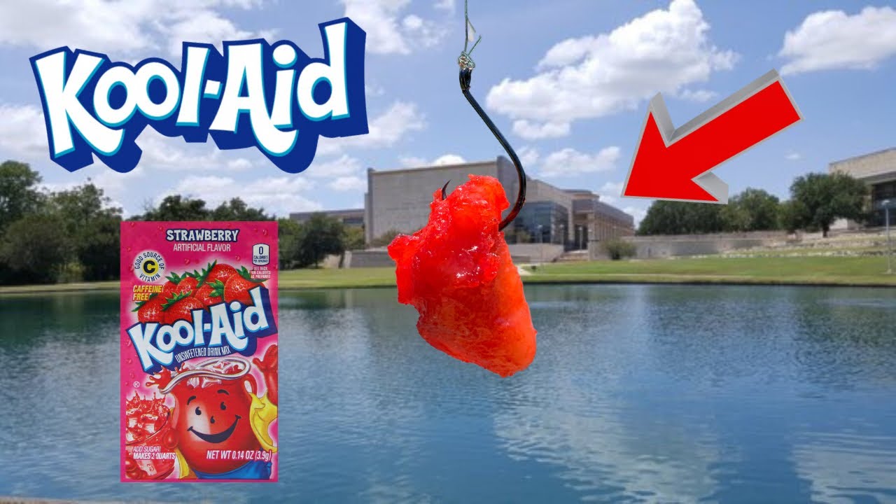 Can KOOL-AID CHICKEN Catch Fish? (Unexpected Results!)