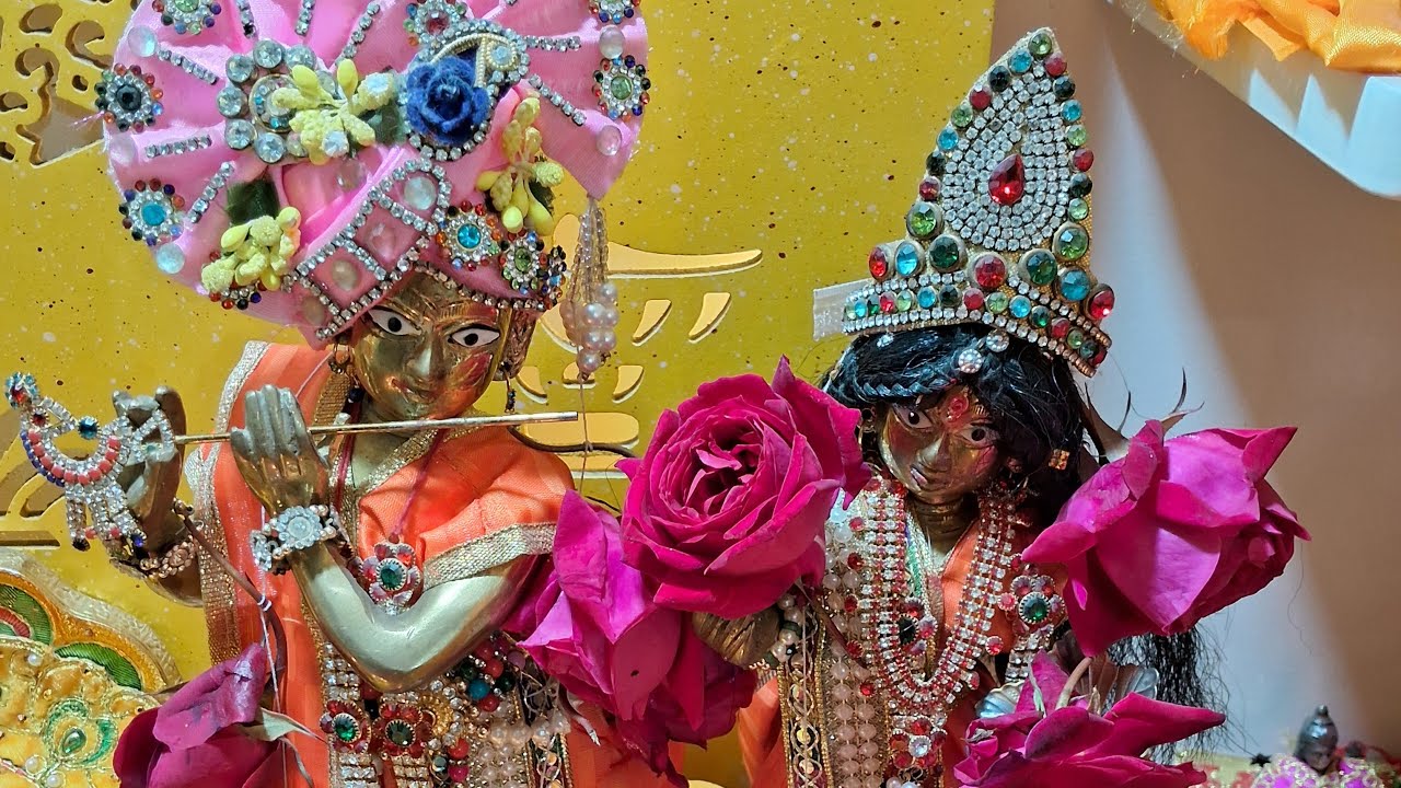 राधे राधे जय श्री कृष्णा🙏🙏🙏