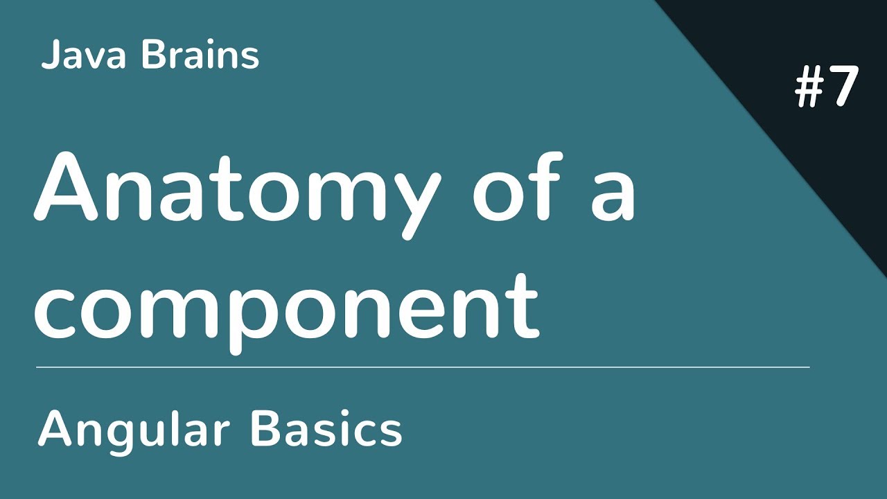 Angular 6 Basics 7 - Anatomy of a component