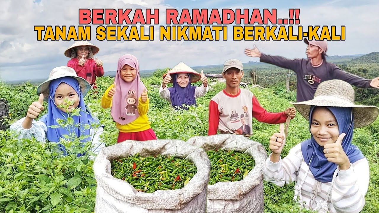 BERKAH RAMADHAN..!! TANAM SEKALI NIKMATI BERKALI-KALI
